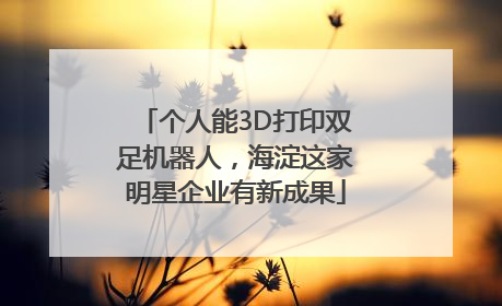 个人能3D打印双足机器人，海淀这家明星企业有新成果