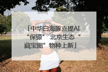 中华白海豚喜提AI“保镖” 北京生态“藏宝图”物种上新
