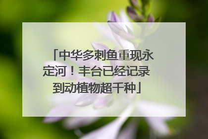 中华多刺鱼重现永定河！丰台已经记录到动植物超千种