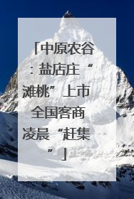中原农谷：盐店庄“滩桃”上市 全国客商凌晨“赶集”