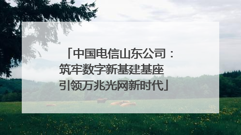 中国电信山东公司：筑牢数字新基建基座 引领万兆光网新时代