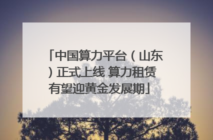 中国算力平台（山东）正式上线 算力租赁有望迎黄金发展期
