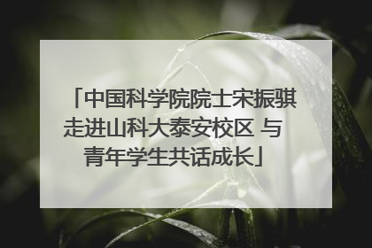 中国科学院院士宋振骐走进山科大泰安校区 与青年学生共话成长