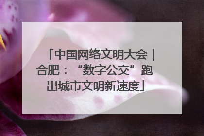 中国网络文明大会｜合肥：“数字公交”跑出城市文明新速度