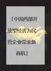 中国西部开放型经济为民营企业带来新商机