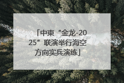 中柬“金龙-2025”联演举行海空方向实兵演练