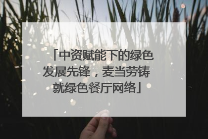 中资赋能下的绿色发展先锋，麦当劳铸就绿色餐厅网络