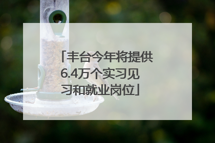 丰台今年将提供6.4万个实习见习和就业岗位