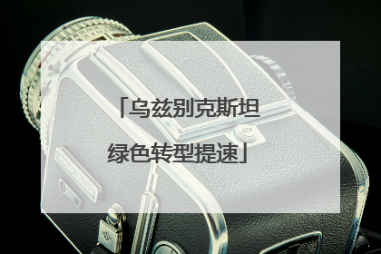 乌兹别克斯坦绿色转型提速
