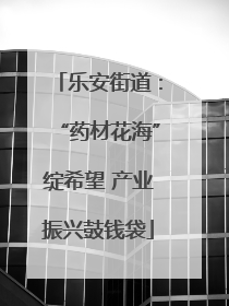 乐安街道：“药材花海”绽希望 产业振兴鼓钱袋