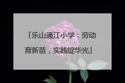 乐山通江小学：劳动育新苗，实践绽华光