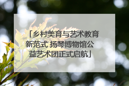 乡村美育与艺术教育新范式 扬琴博物馆公益艺术团正式启航