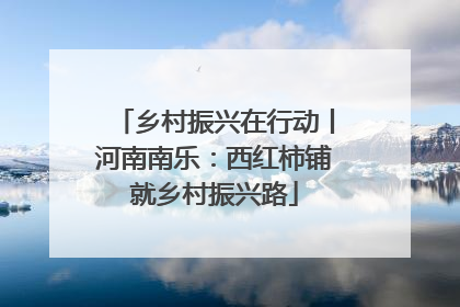 乡村振兴在行动丨河南南乐：西红柿铺就乡村振兴路