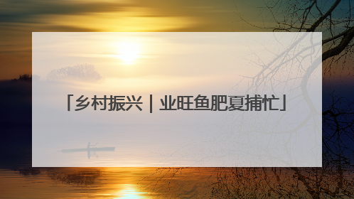 乡村振兴｜业旺鱼肥夏捕忙