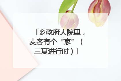 乡政府大院里，麦客有个“家”（三夏进行时）
