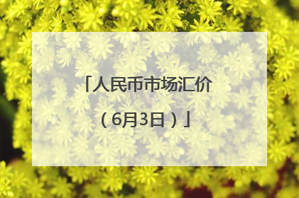 人民币市场汇价（6月3日）