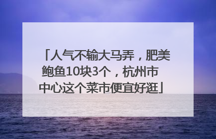 人气不输大马弄，肥美鲍鱼10块3个，杭州市中心这个菜市便宜好逛
