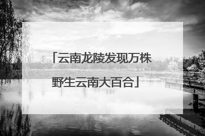 云南龙陵发现万株野生云南大百合