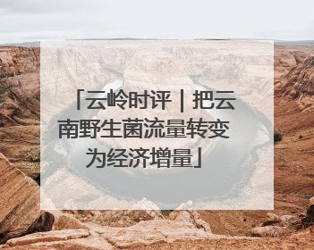 云岭时评｜把云南野生菌流量转变为经济增量