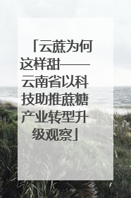 云蔗为何这样甜——云南省以科技助推蔗糖产业转型升级观察