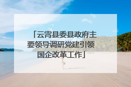 云霄县委县政府主要领导调研党建引领国企改革工作