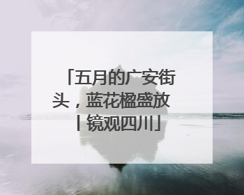 五月的广安街头，蓝花楹盛放丨镜观四川