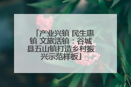 产业兴镇 民生惠镇 文旅活镇：谷城县五山镇打造乡村振兴示范样板