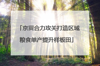 京冀合力攻关打造区域粮食单产提升样板田