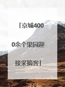 京城4000余个果园迎接采摘客