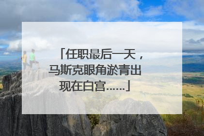 任职最后一天，马斯克眼角淤青出现在白宫……