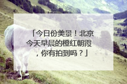 今日份美景！北京今天早晨的橙红朝霞，你有拍到吗？