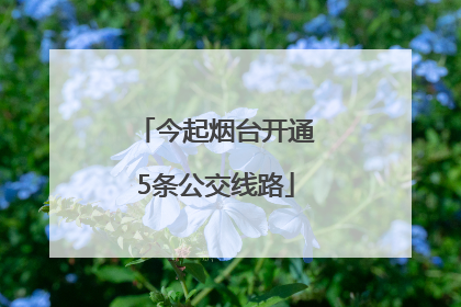 今起烟台开通5条公交线路