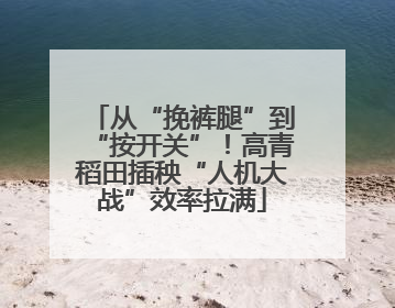 从“挽裤腿”到“按开关”！高青稻田插秧“人机大战”效率拉满