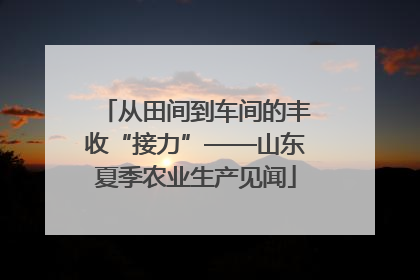 从田间到车间的丰收“接力”——山东夏季农业生产见闻