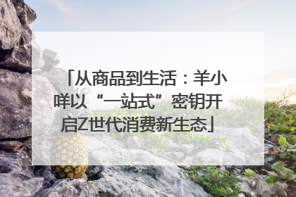 从商品到生活：羊小咩以“一站式”密钥开启Z世代消费新生态