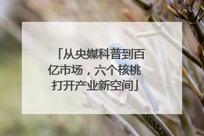 从央媒科普到百亿市场，六个核桃打开产业新空间