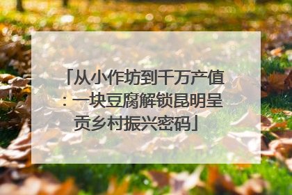 从小作坊到千万产值：一块豆腐解锁昆明呈贡乡村振兴密码