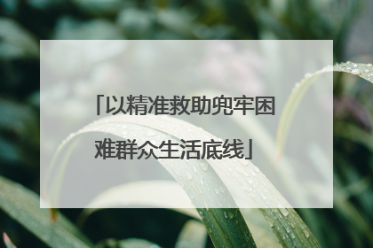 以精准救助兜牢困难群众生活底线
