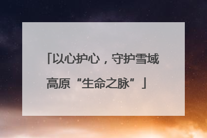 以心护心，守护雪域高原“生命之脉”