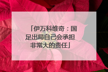 伊万科维奇：国足出局自己会承担非常大的责任