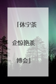 休宁茶企惊艳茶博会