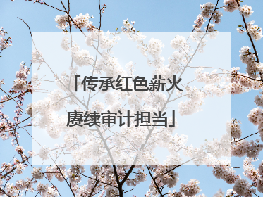 传承红色薪火 赓续审计担当