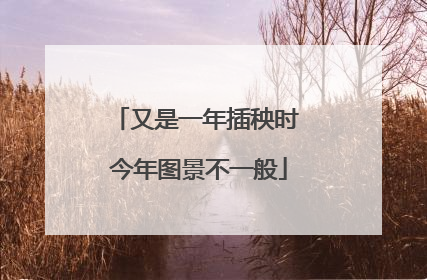 又是一年插秧时 今年图景不一般