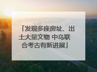 发现多座房址、出土大量文物 中乌联合考古有新进展