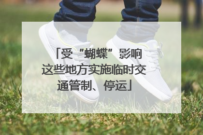 受“蝴蝶”影响 这些地方实施临时交通管制、停运