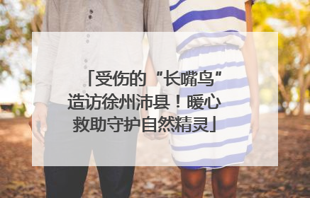 受伤的“长嘴鸟”造访徐州沛县！暖心救助守护自然精灵