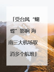 受台风“蝴蝶”影响 海南三大机场取消多个航班