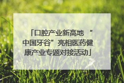 口腔产业新高地 “中国牙谷”亮相医药健康产业专题对接活动