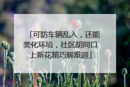 可防车辆乱入，还能美化环境，社区胡同口上新花箱巧解难题