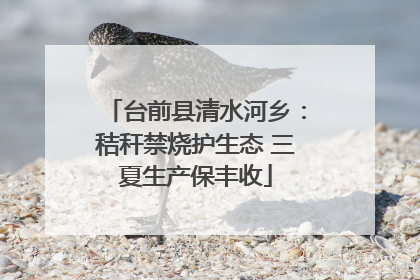 台前县清水河乡：秸秆禁烧护生态 三夏生产保丰收